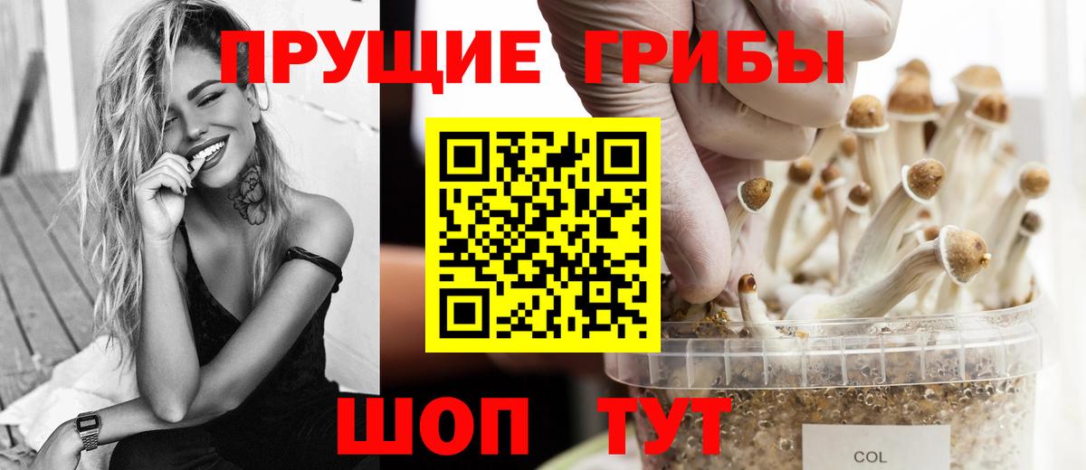 Галлюциногенные грибы GOLDEN TEACHER  Вход с VPN  Северобайкальск 