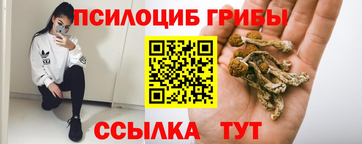 Псилоцибиновые грибы Magic Shrooms Северобайкальск